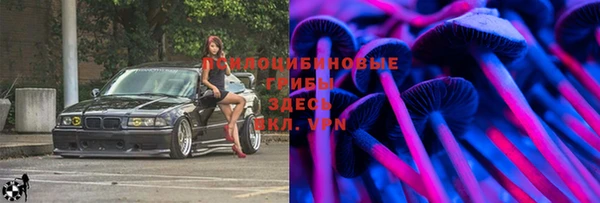 а пвп мука Богородск
