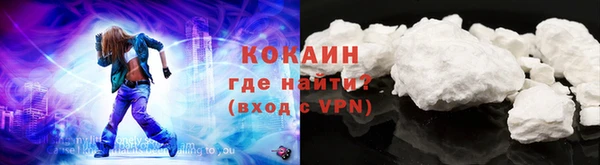 твердый Богданович