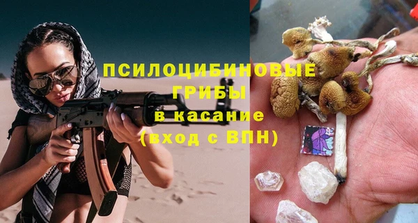 эйфоретик Новозыбков