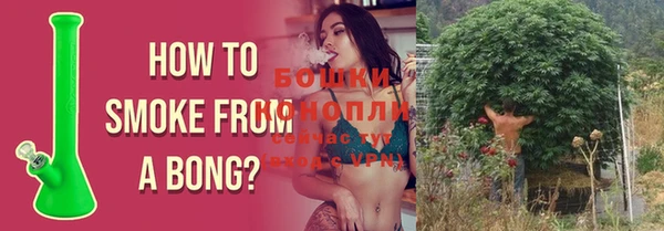 соль курить ск Новодвинск