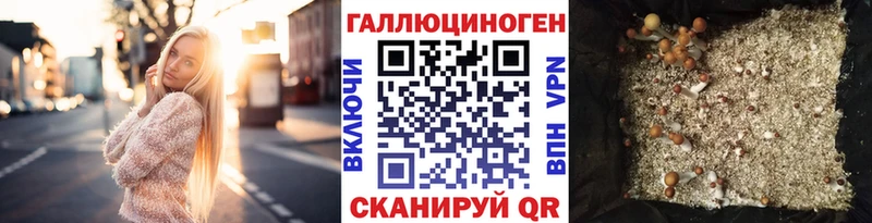 Псилоцибиновые грибы GOLDEN TEACHER  Купить  Анжеро-Судженск 